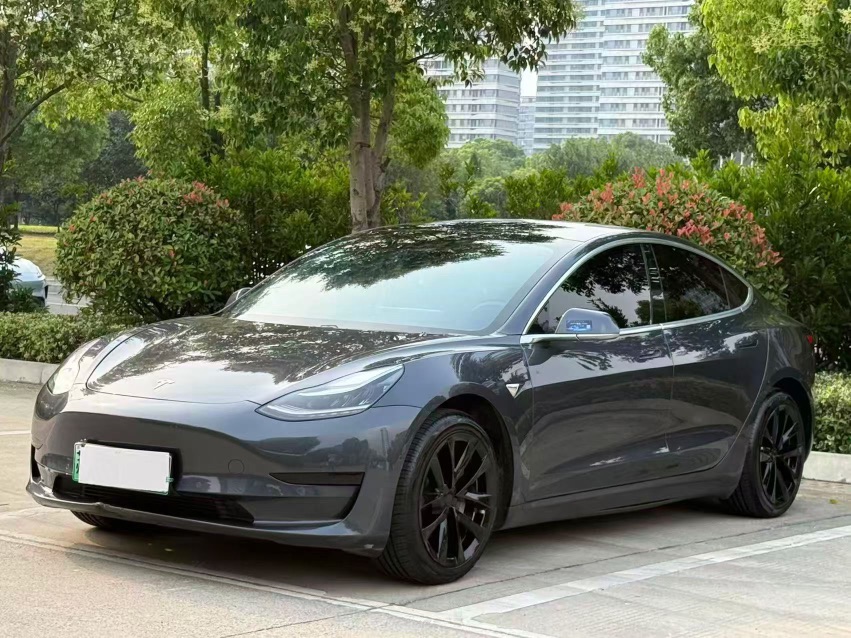 Tesla Model 3 2021 Tesla Model 3 2021 car image