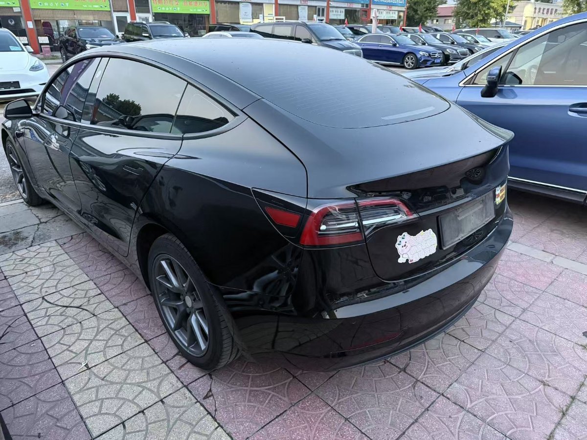Tesla Model 3 2022 car image #5