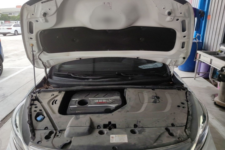 GEELY Emgrand GS 2020 car image #20