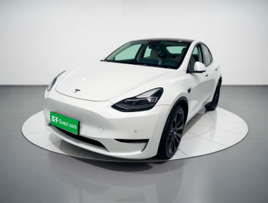 Tesla Model Y 2022 Tesla Model Y 2022 car image