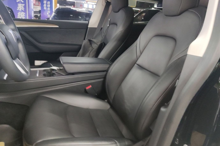 Tesla Model Y 2021 car image #15