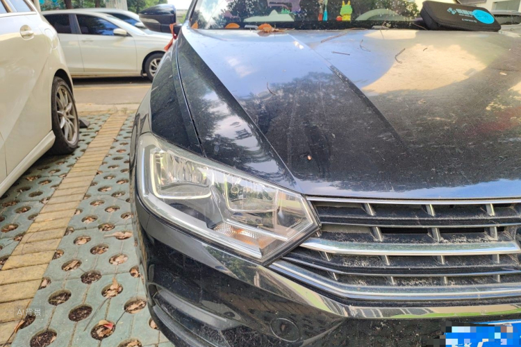 Volkswagen Bora 2016 car image #8