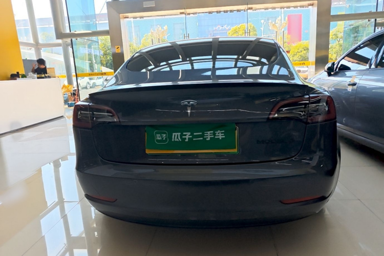 Tesla Model 3 2021 #6 Tesla Model 3 2021 car image #6