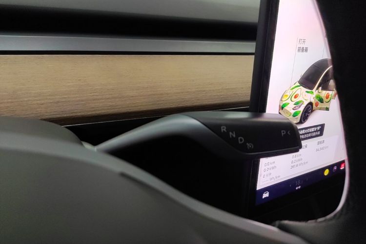 Tesla Model Y 2021 #14 Tesla Model Y 2021 immagine di auto #14