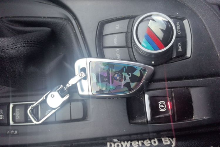 BMW X1 2016 صورة سيارة #10