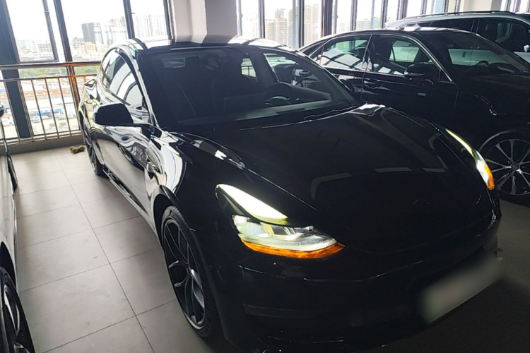 Tesla Model 3 2021 #4 Tesla Model 3 2021 car image #4