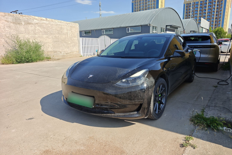 Tesla Model 3 2022 car image #2