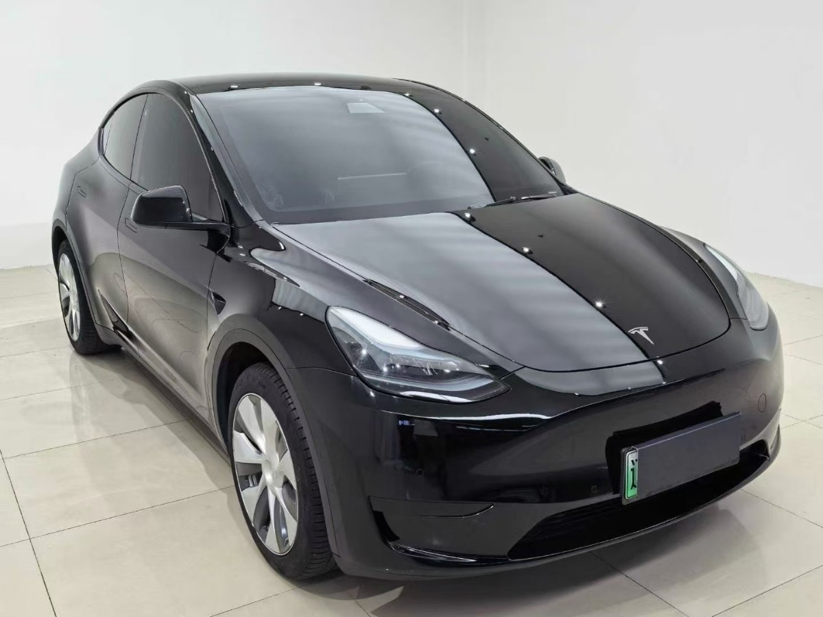 Tesla Model Y 2023 Tesla Model Y 2023 car image