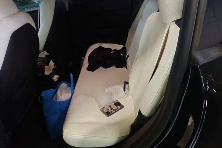 Tesla Model Y 2022 car image #13