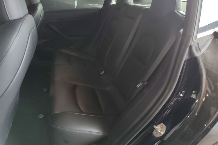Tesla Model 3 2021 car image #17
