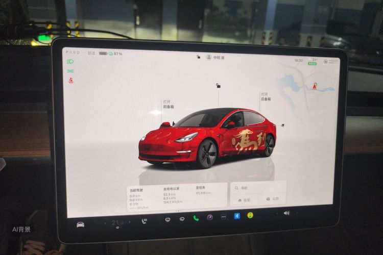 Tesla Model 3 2022 car image #13