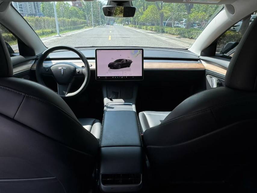 Tesla Model 3 2022 #6 Tesla Model 3 2022 car image #6