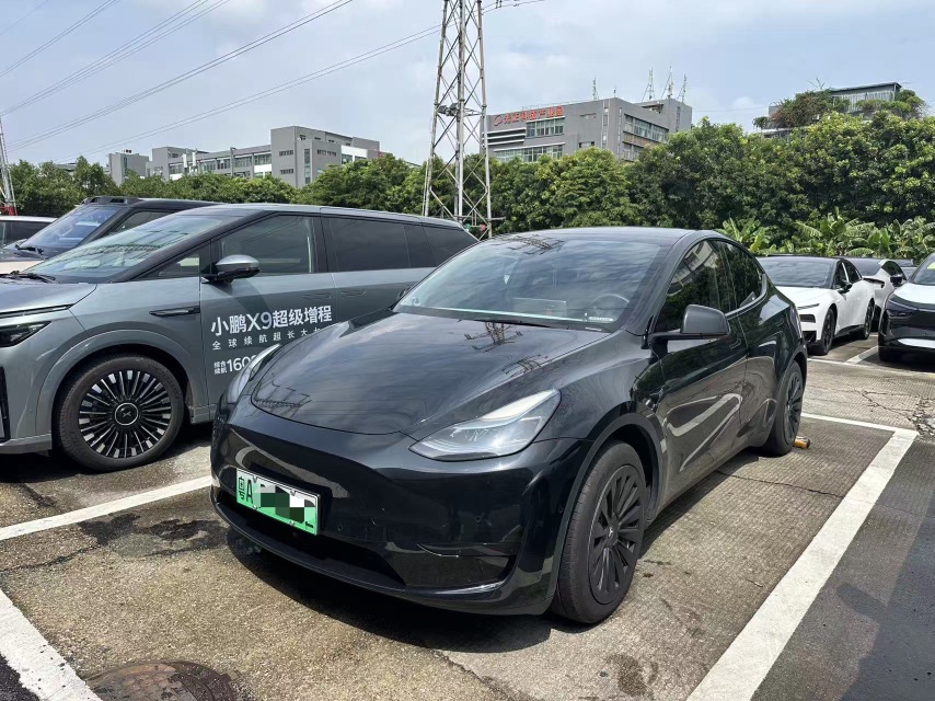 Tesla Model Y 2023 car image 