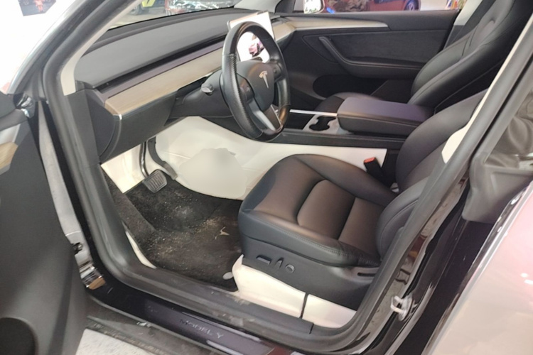 Tesla Model Y 2023 car image #15