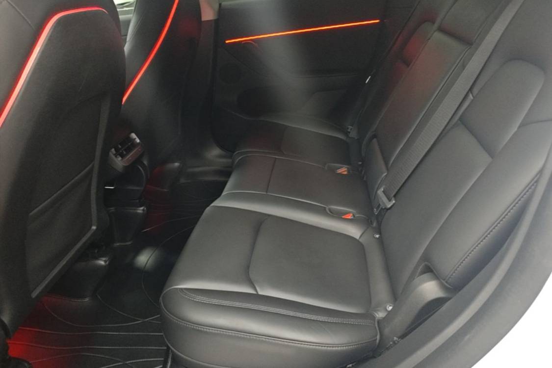 Tesla Model Y 2024 car image #13