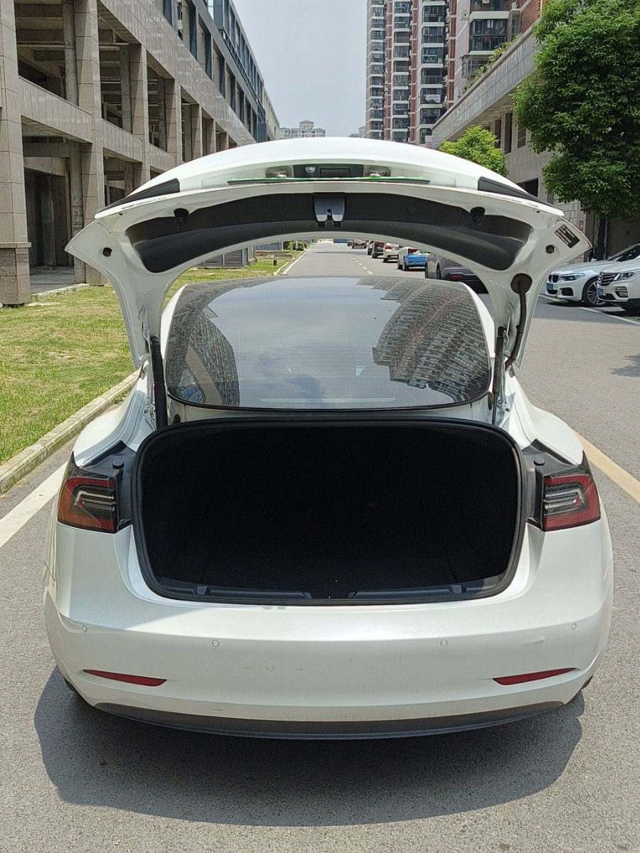 Tesla Model 3 2021 immagine di auto #8
