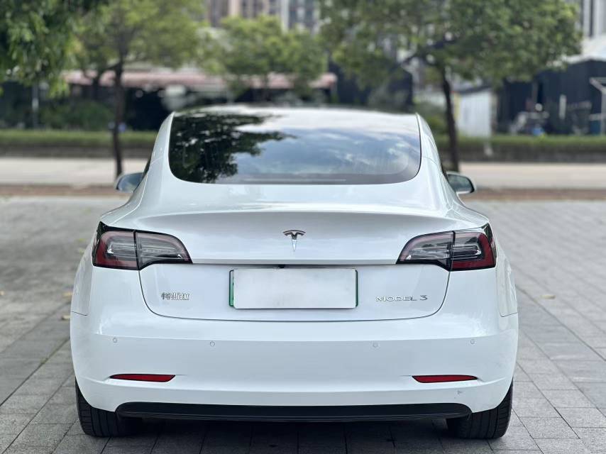 Tesla Model 3 2020 #10 Tesla Model 3 2020 car image #10