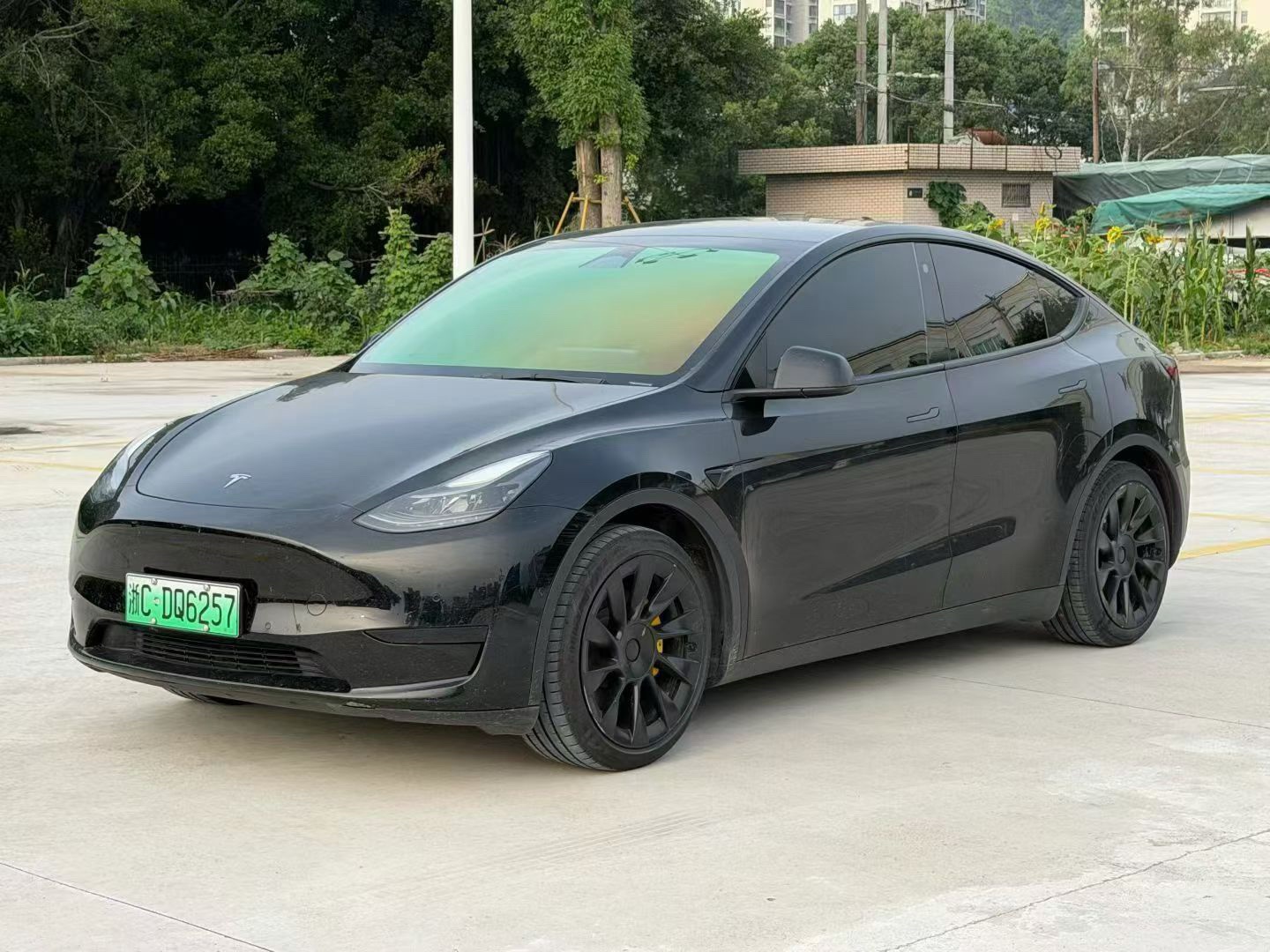 Tesla Model Y 2022 Tesla Model Y 2022 car image