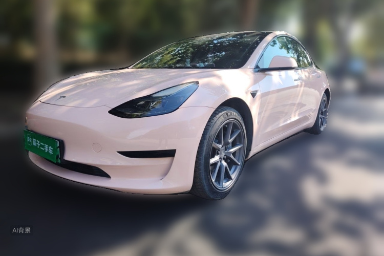 Tesla Model 3 2023 #2 Tesla Model 3 2023 car image #2
