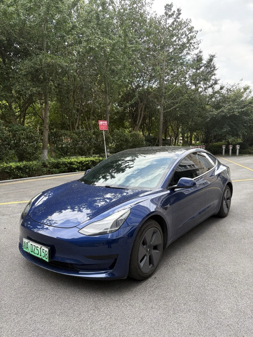 Tesla Model 3 2021 Tesla Model 3 2021 car image