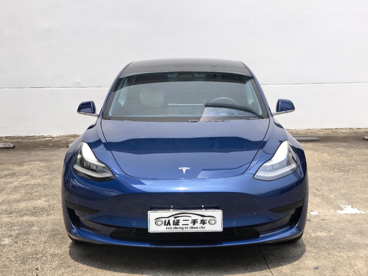 Tesla Model 3 2020 #2 Tesla Model 3 2020 car image #2