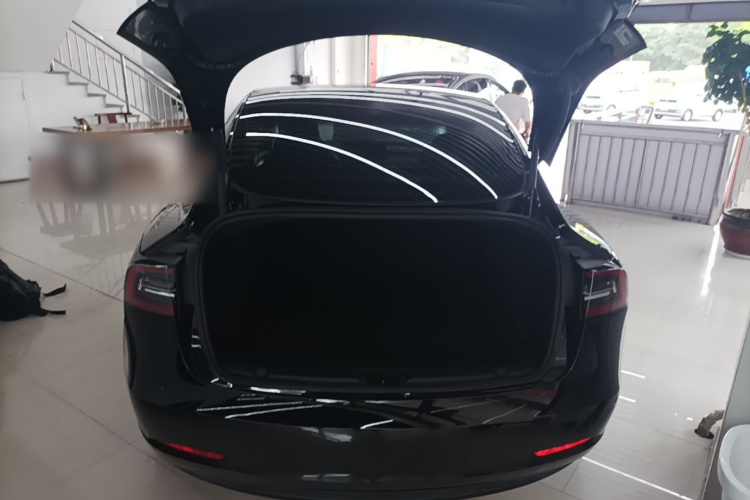 Tesla Model 3 2021 #21 Tesla Model 3 2021 car image #21