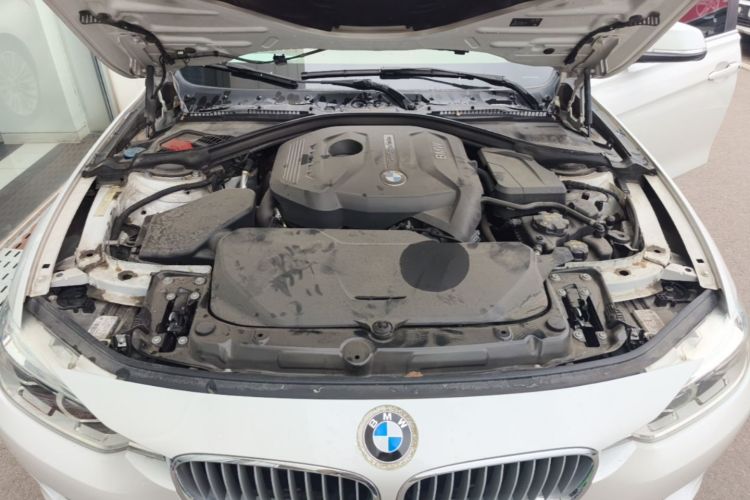 BMW 3 Series 2018 car image #20