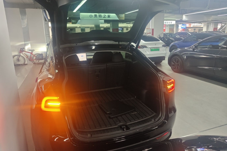Tesla Model Y 2022 car image #19