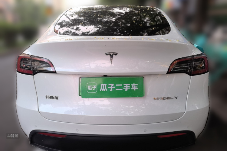 Tesla Model Y 2021 #6 Tesla Model Y 2021 car image #6