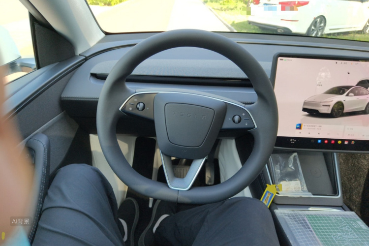 Tesla Model Y 2025 car image #12
