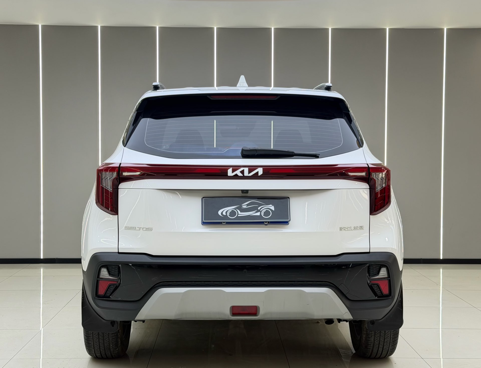 Kia Seltos 2024 imagen de coche #8