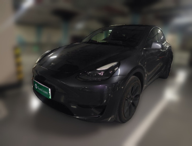 Tesla Model Y 2024 Tesla Model Y 2024 car image