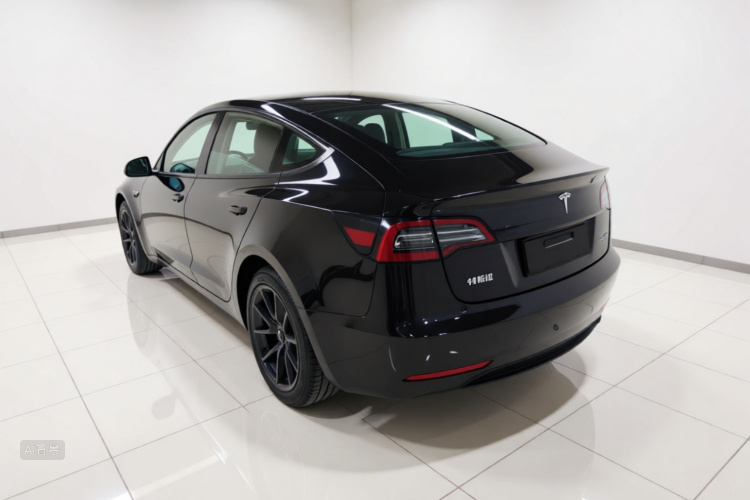 Tesla Model 3 2021 car image #5