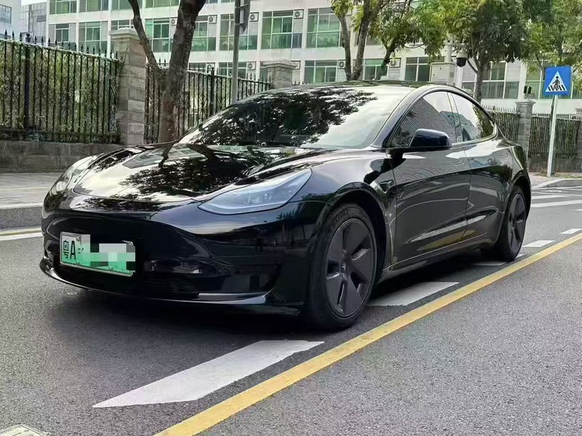Tesla Model 3 2021 car image #3