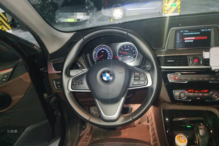BMW X1 2019 car image #12