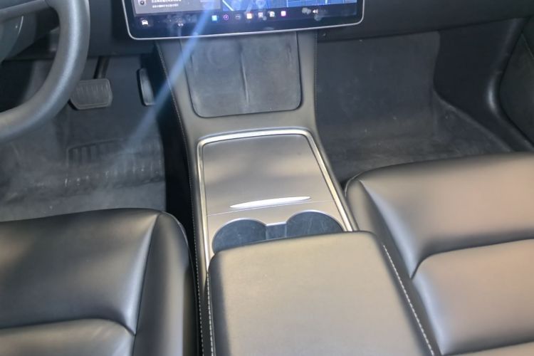 Tesla Model 3 2021 car image #14
