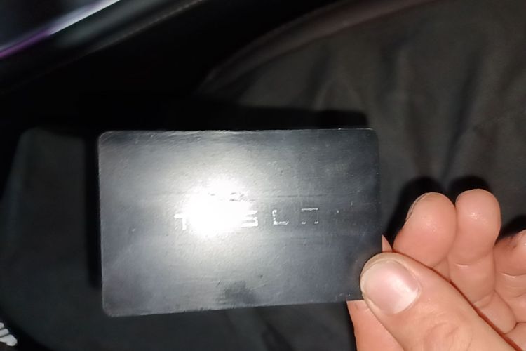 Tesla Model Y 2022 car image #14