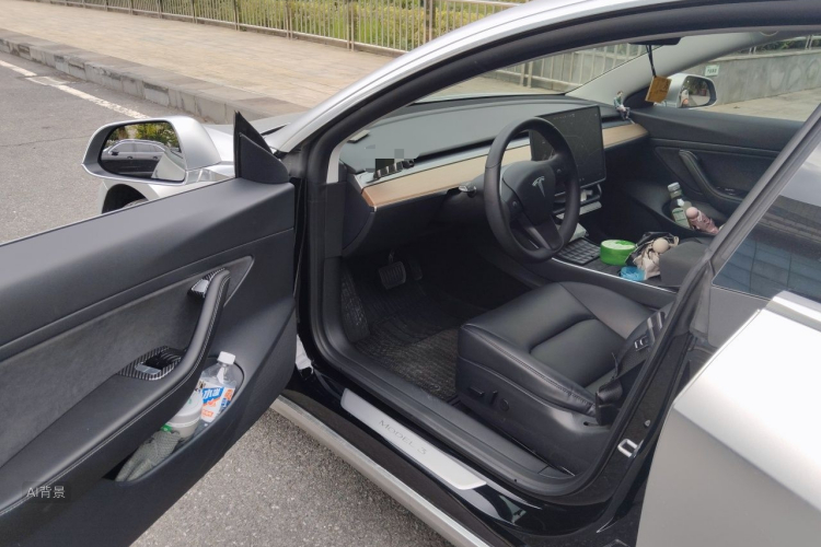 Tesla Model 3 2020 car image #18