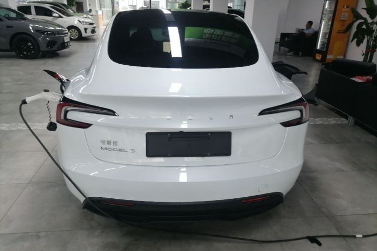 Tesla Model 3 2024 car image #6