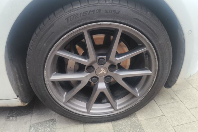 Tesla Model 3 2021 immagine di auto #9