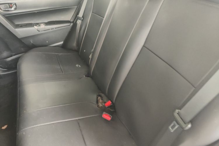 Toyota Corolla 2018 car image #19