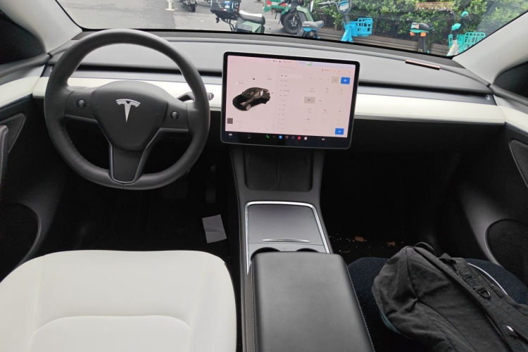Tesla Model Y 2021 #12 Tesla Model Y 2021 car image #12