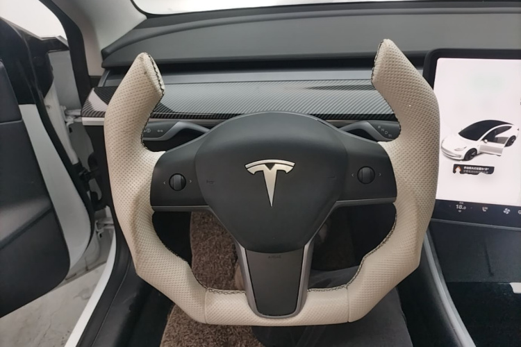 Tesla Model 3 2020 #11 Tesla Model 3 2020 car image #11