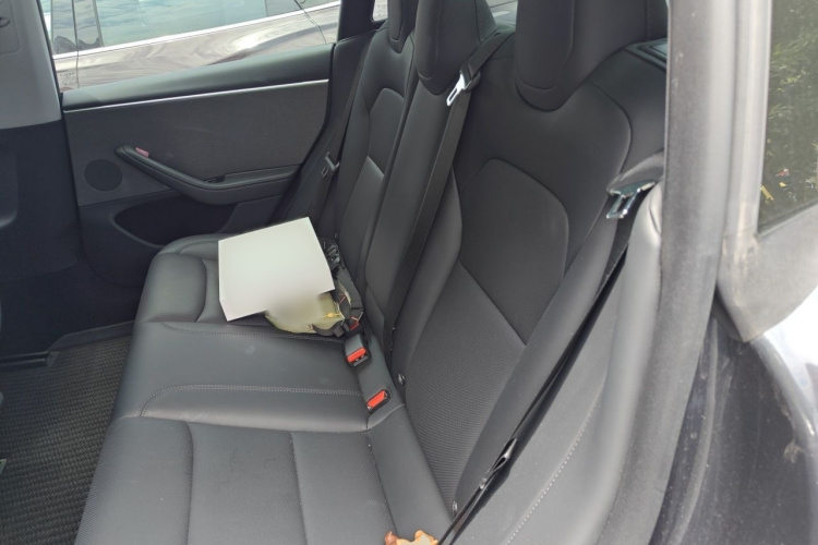 Tesla Model 3 2024 #14 Tesla Model 3 2024 car image #14