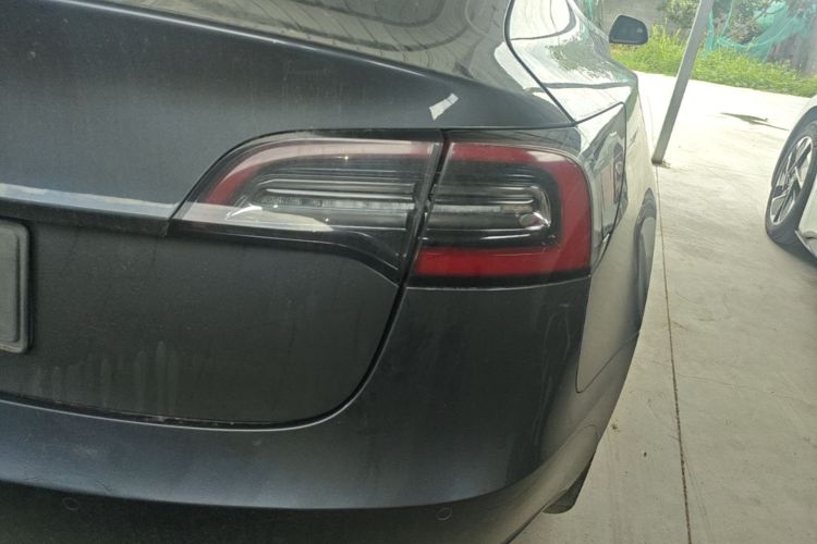 Tesla Model 3 2020 car image #8