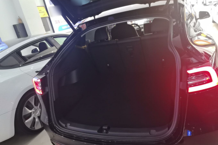 Tesla Model Y 2023 #19 Tesla Model Y 2023 car image #19