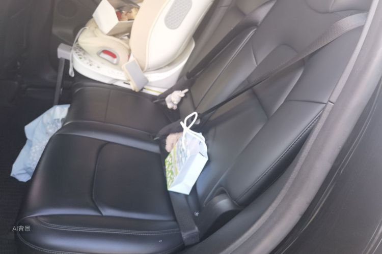 Tesla Model Y 2022 car image #19