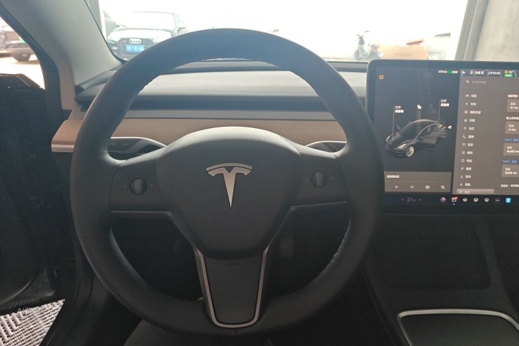 Tesla Model 3 2021 car image #12