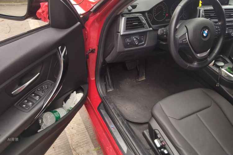 BMW 3 Series 2017 car image #18