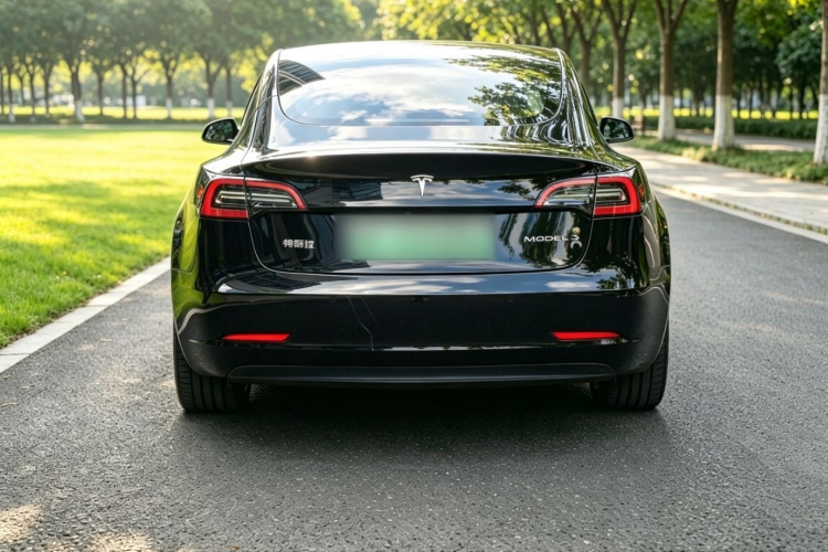 Tesla Model 3 2022 #6 Tesla Model 3 2022 car image #6
